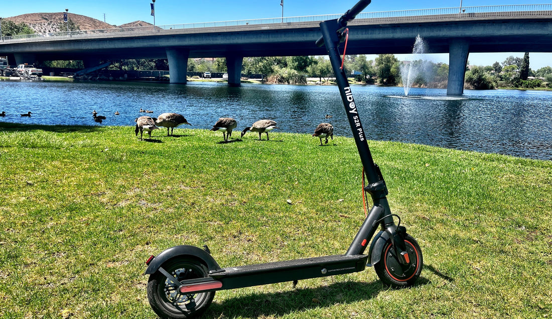 Electric Scooter Safety Tips for Summer Riding