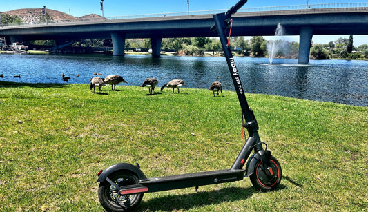 Electric Scooter Safety Tips for Summer Riding